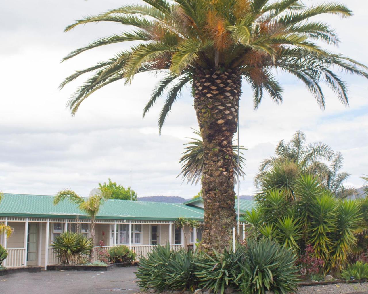 Palm Motel Waihi Eksteriør billede
