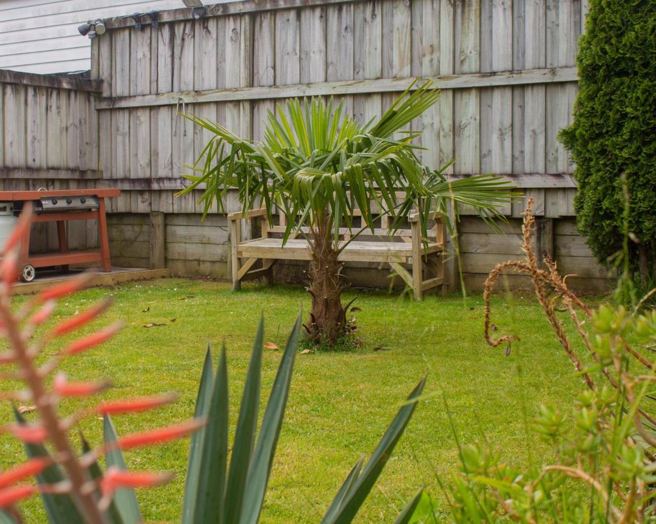 Palm Motel Waihi Eksteriør billede
