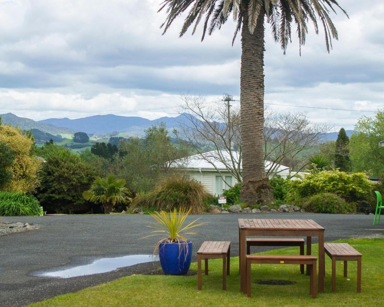 Palm Motel Waihi Eksteriør billede